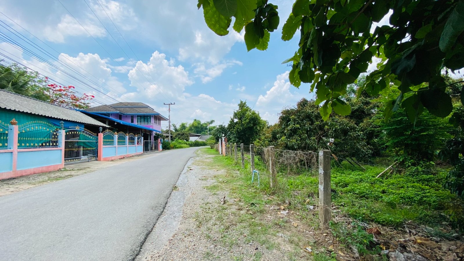 ที่ดินเปล่าติดคันคลอง ชลประทาน สันป่าตอง ขายถูก