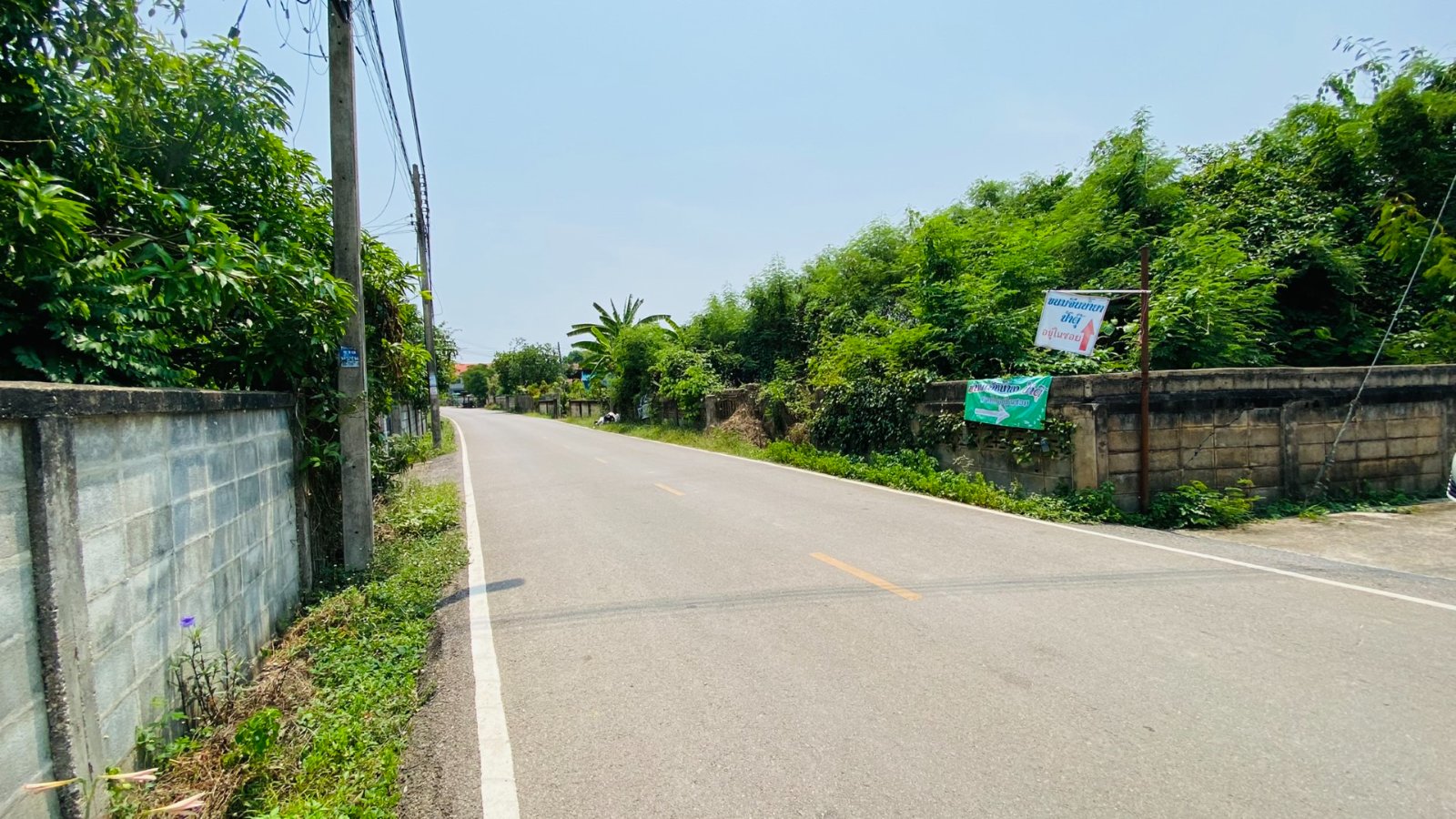 ที่ดินเปล่า บ้านโตนเหนือ อ.สูงเม่น ขายถูก