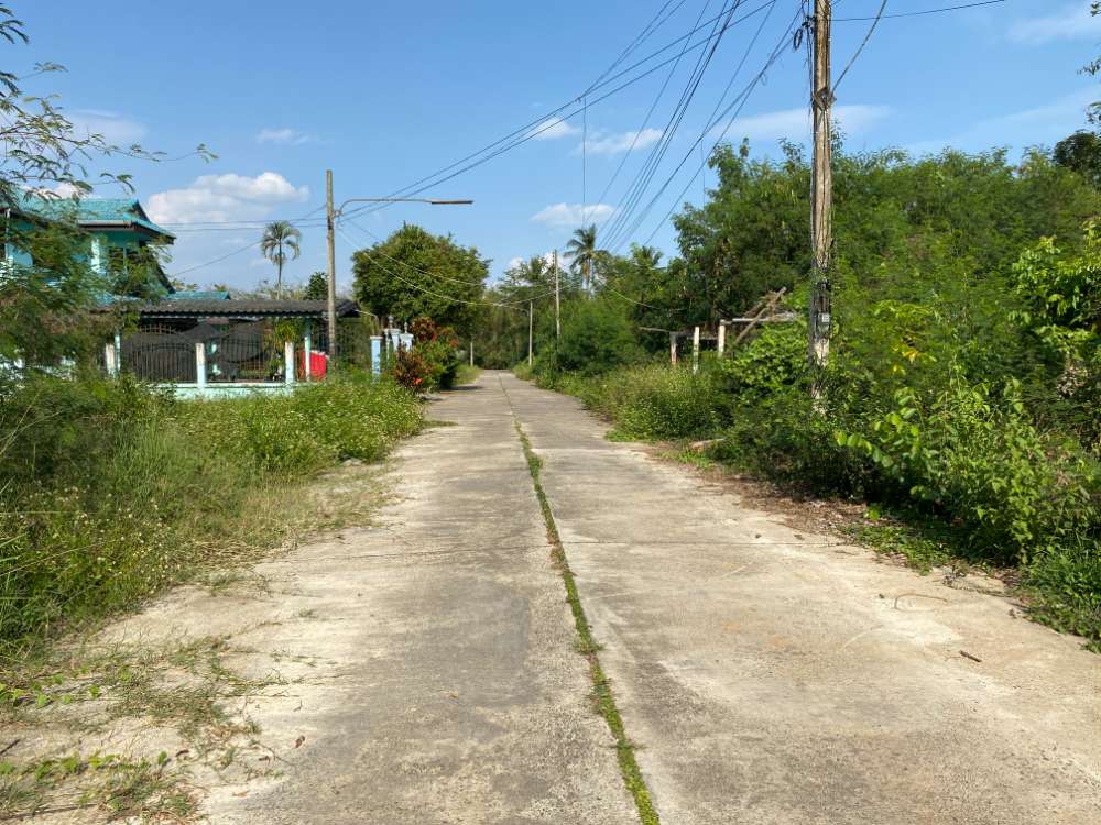 ที่ดิน แปลงล่ะ 100 ตารางวา หลังโรงพยาบาลสันทราย