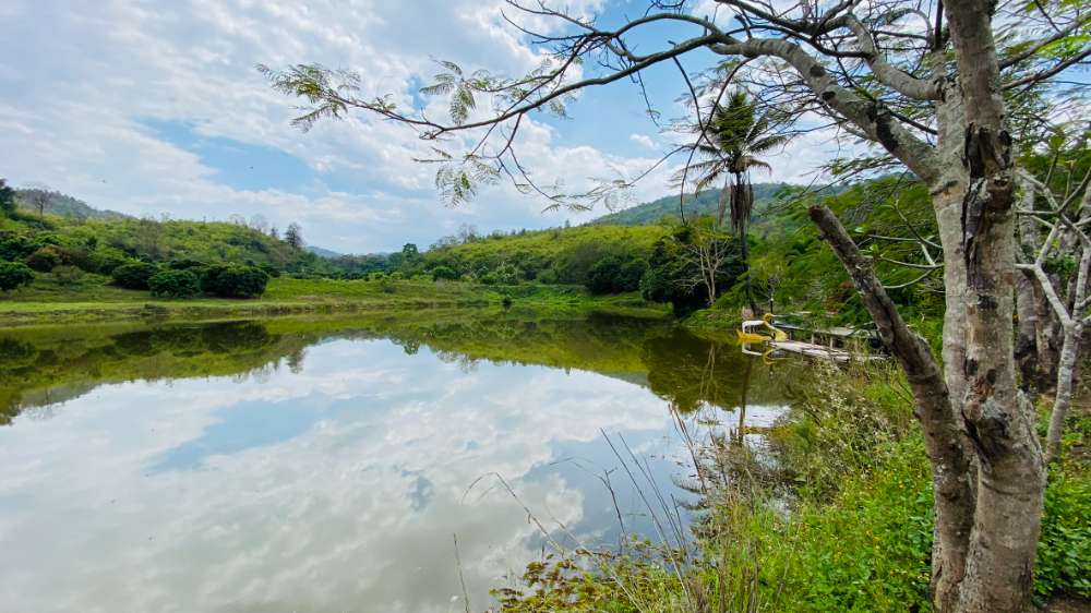 ที่ดินสำหรับการเกษตร เนื้อที่ รวม 150 ไร่ มีทั้ง โฉนดและ สปก.และที่ดินมือเปล่ารวมกัน
