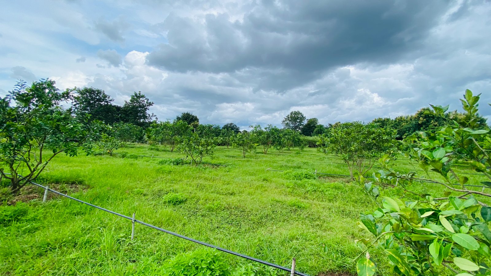 ที่ดินเปล่าติดแม่น้ำปิง แปลงใหญ่