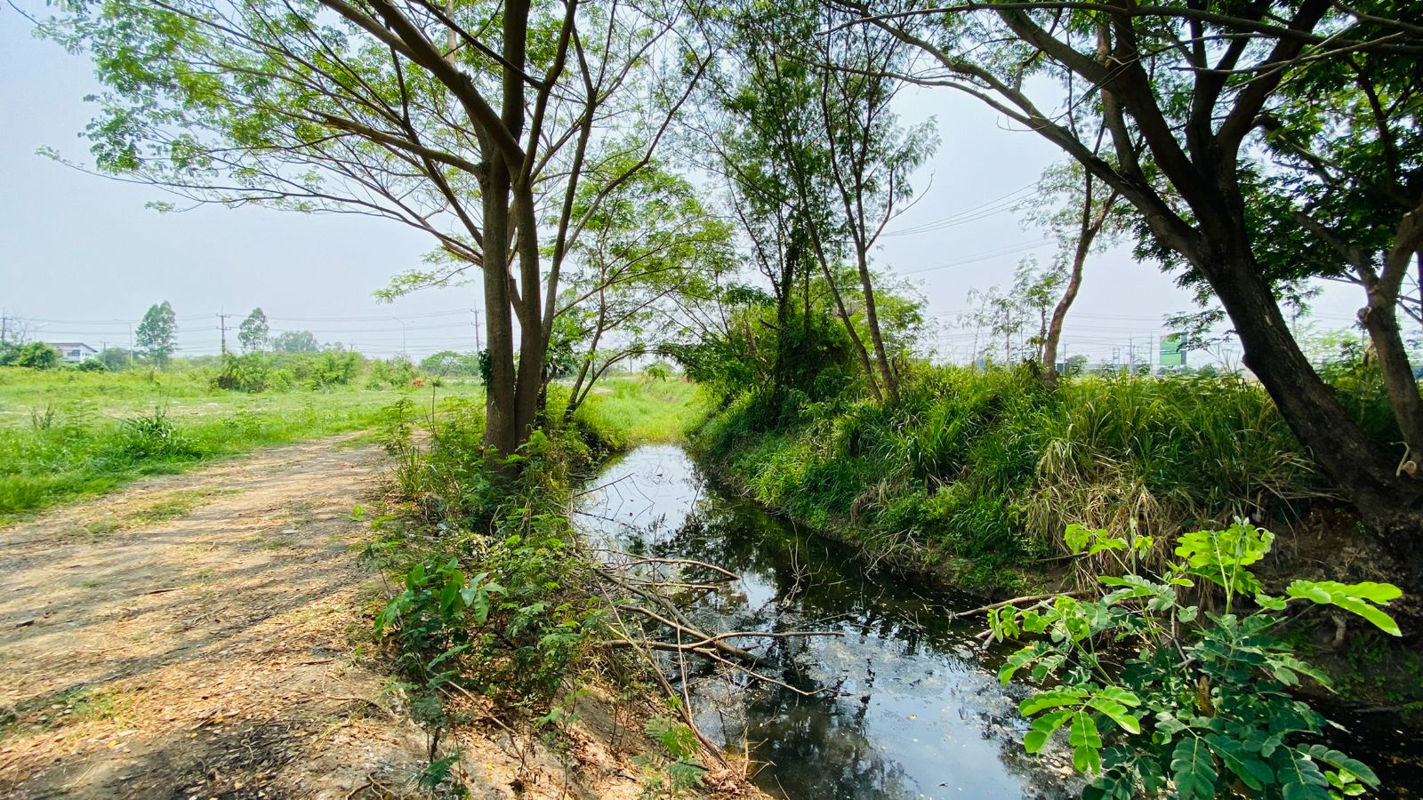 ที่ดินเปล่า ถนนสาย 1317 สันกำแพงขแม่ออน 113 ไร่