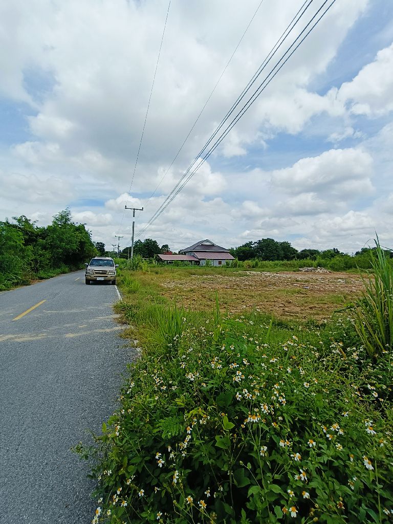 ที่ดินแบ่งแปลงขายแปลงละ ประมาณ 100 ตารางวา